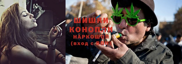 крисы Баксан