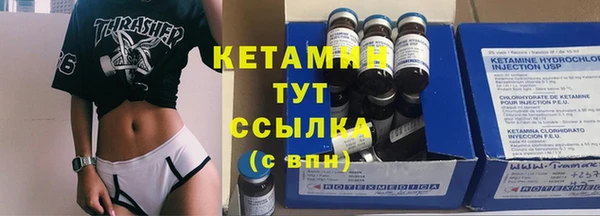 амф Каменка