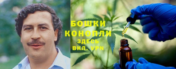 сатива Каменногорск