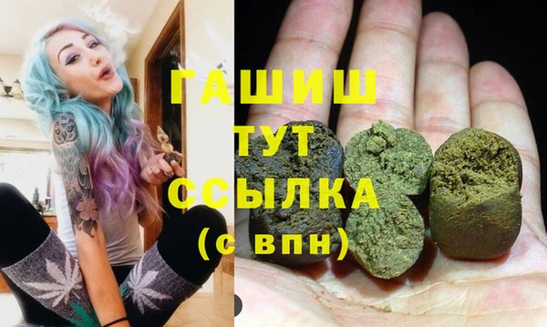 сатива Каменногорск