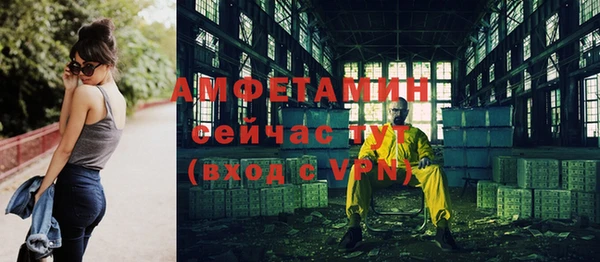 крисы Баксан
